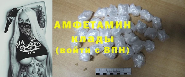 прущие грибы Балабаново