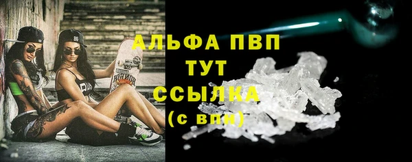 прущие грибы Балабаново