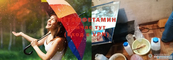 прущие грибы Балабаново