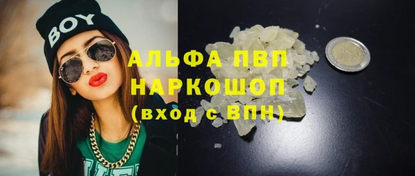 прущие грибы Балабаново