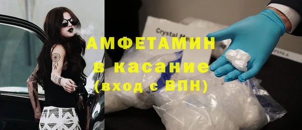 прущие грибы Балабаново