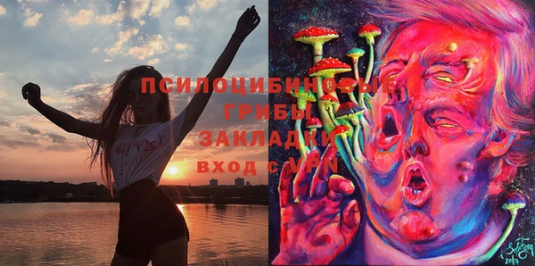 прущие крисы Балахна