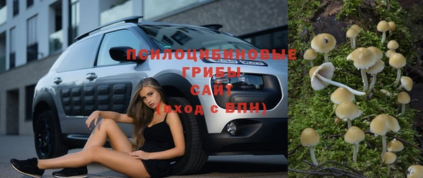 прущие крисы Балахна