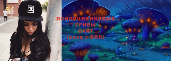 прущие грибы Балабаново